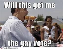 Image result for obama bisexual