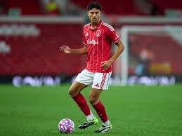 Wales Online - News update