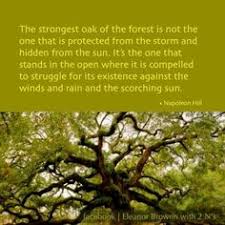 The strongest oak tree of the forest is not the one that is ... via Relatably.com
