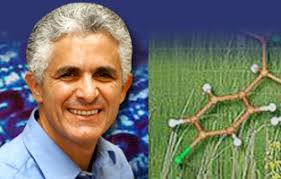 Yale scientist Menachem Elimelech will receive the 2008 Lawrence K. Cecil Award for outstanding contributions to the fields of chemical and environmental ... - 6168-33002088