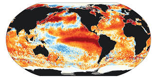 Superfície dos mares atingiu, no dia 22 de agosto, a temperatura mais alta já registrada, aponta Serviço de Mudanças Climáticas da União Europeia