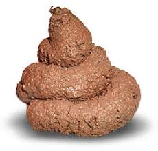 Resultado de imagem para Isso aqui é bosta pura.