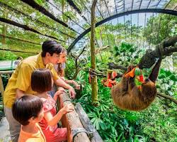 Singapore Zoo, Singapore