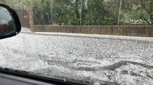 Trend Google: meteo domani