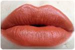 Help finding a colour similar to these discontinued rust lipsticks