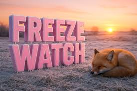 Four Corners Weather: Freeze Watch Could Damage Plants