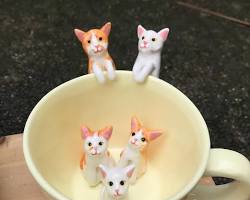 teacup with a pet's photo on itの画像