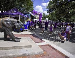 NO.lsutech.091326_7104 MJ.JPG