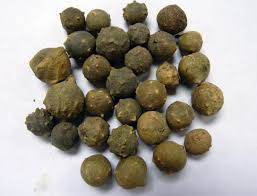 Image result for pueraria mirifica