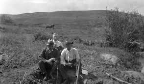 Image result for wayne alberta