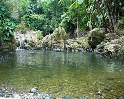 Image of Charco Frio, San Lorenzo, Puerto Rico