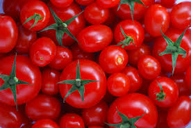 Image result for tomato