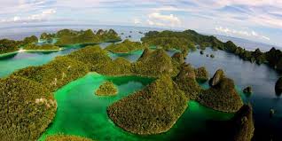 Hasil gambar untuk raja ampat