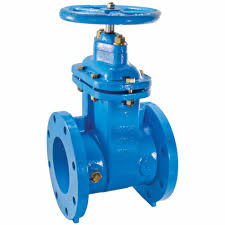 WATTS, 4 in Nominal Valve Size, Cast Iron, Gate Valve ...