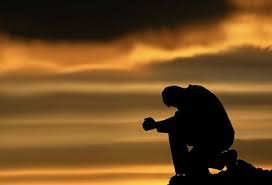 Hasil gambar untuk pecinta alam indonesia