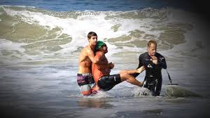 Image result for shark attack in florida