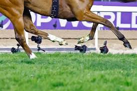 News source: Yahoo!ニュース