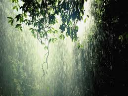 Image result for rain