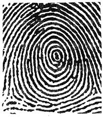 Résultat de recherche d'images pour "fingerprint types"