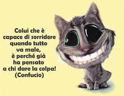 Risultati immagini per foto divertenti