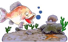 images?q=tbn:ANd9GcQfOJ7yZH6r8exQmgqNTBR