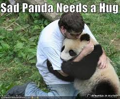 Résultat de recherche d'images pour "sad panda"