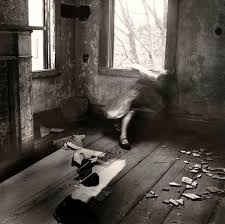 Résultat de recherche d'images pour "francesca woodman"