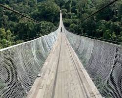 Image of Jembatan Gantung Situ Gunung Sukabumi