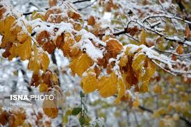 کاهش ۶ تا ۱۳ درجه ای دما در گیلان/ بارش موقتی برف در نواحی جلگه ای