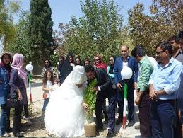 Image result for ‫عکس از درخت در روز درختکاری‬‎