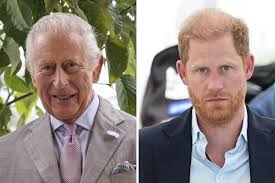Trend Google: harry, duca di sussex