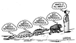 Image result for scientific questions