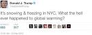 Image result for trump climate change