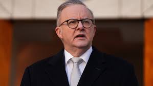 Sharing COP presidency with Türkiye 'not an option', says Albanese