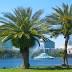 Orlando, Florida, plans to cut global-warming pollution