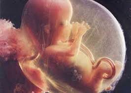 Image result for ‫عکس زایمان‬‎