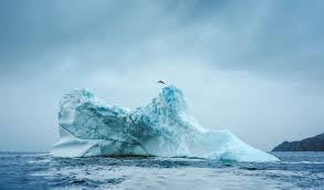 Canadian pro cliff diver Molly Carlson makes history as she becomes first woman to dive off iceberg