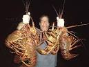 California Lobster Diver - Malibu Divers