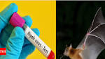 Kashaya doesn't cure Nipah: Doctors