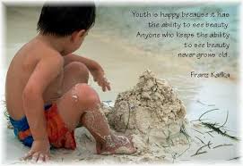 Image result for great thinker in hindi