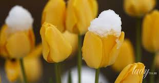 гороскоп на 10 квітня