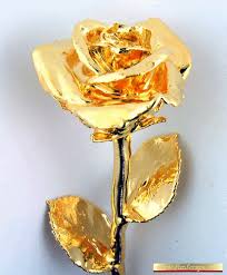 Image result for images of golden rose flower