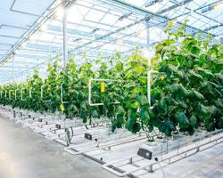 Indoor farms