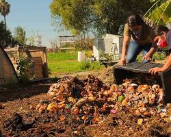  person composting food scraps