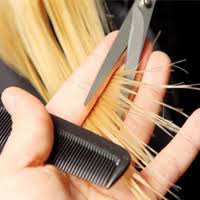 Image result for ‫موخوره‬‎