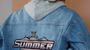 Erin Andrews Inks Deal With WWE for Women's Fan Gear