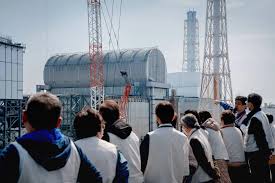 Trend Google: fukushima 2011