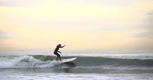 Résultat de recherche d'images pour "surfing, The New Yorker"