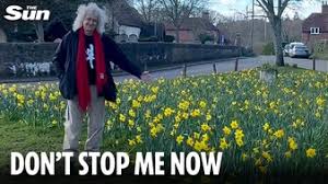 Iconic rocker Brian May blocked from growing daffodils on his village green after council said flowers posed safety risk