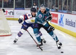 Dundee Stars - News update